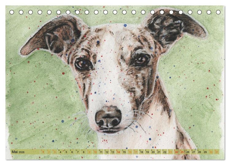 Produktbild: Hundeportr&auml;ts in Aquarell (Tischkalender 2026 DIN A5 quer), CALVENDO Monatskalender