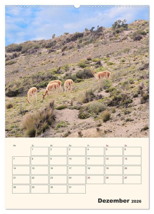 Produktbild: Ecuador - Terminplaner (hochwertiger Premium Wandkalender 2026 DIN A2 hoch), Kunstdruck in Hochglanz
