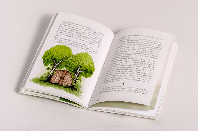 Produktbild: Zauberwald & Zwergenkraft