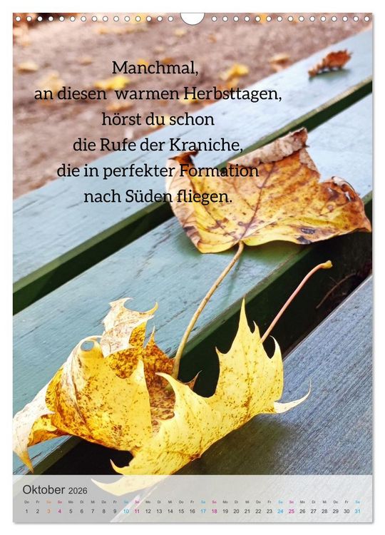 Produktbild: Manchmal - Poetische Momentaufnahmen (Wandkalender 2026 DIN A3 hoch), CALVENDO Monatskalender