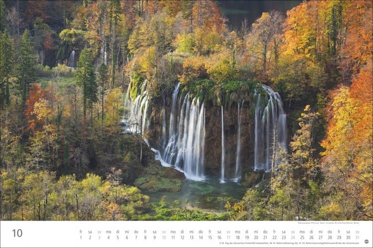 Produktbild: Wunderwelt Wald 2027
