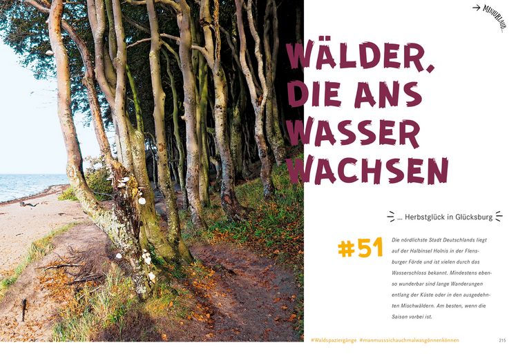 Produktbild: 52 kleine & gro&szlig;e Eskapaden in Schleswig-Holstein an der Ostsee
