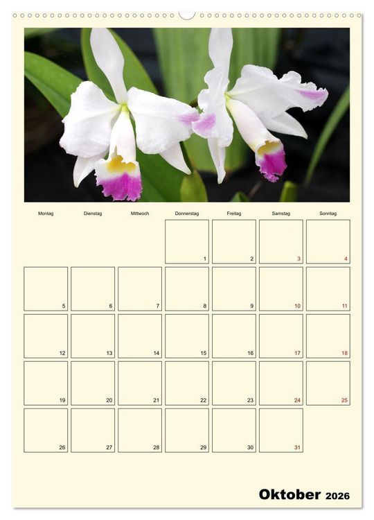 Produktbild: Orchideentr&auml;ume (Wandkalender 2026 DIN A2 hoch), CALVENDO Monatskalender