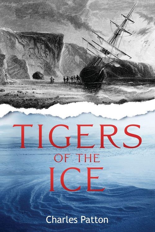 Produktbild: Tigers of the Ice