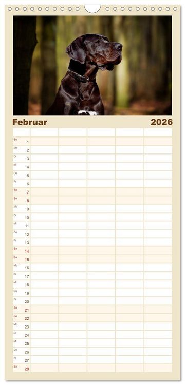 Produktbild: Familienplaner 2026 - Deutsche Doggen / Geburtstagskalender mit 5 Spalten (Wandkalender, 21 x 45 cm) CALVENDO