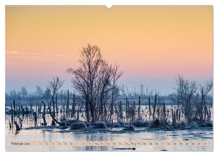 Produktbild: Deutschlands Moore (Wandkalender 2026 DIN A2 quer), CALVENDO Monatskalender