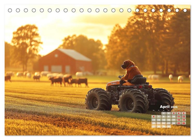 Produktbild: S&uuml;&szlig;e Hunde cruisen - durch das Jahr mit dem Hundekalender (Tischkalender 2026 DIN A5 quer), CALVENDO Monatskalender