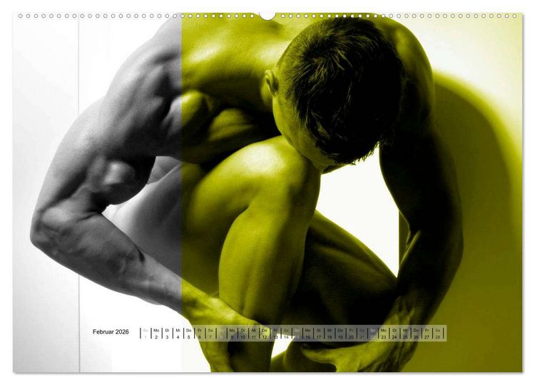 Produktbild: Naked men behind the colors &ndash; &Auml;sthetische Aktfotografien (hochwertiger Premium Wandkalender 2026 DIN A2 quer), Kunstdruck in Hochglanz