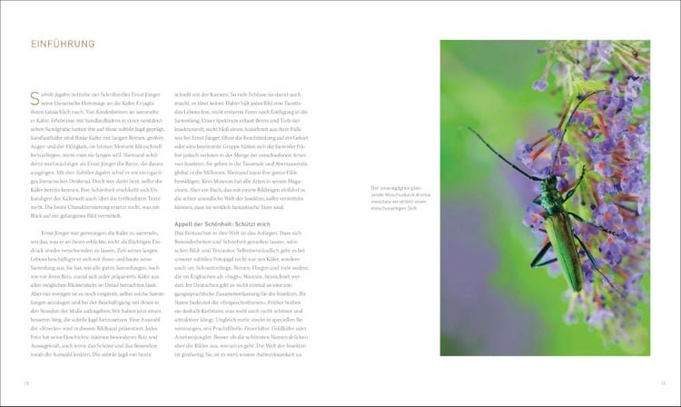 Produktbild: Unsere einzigartige Insektenwelt
