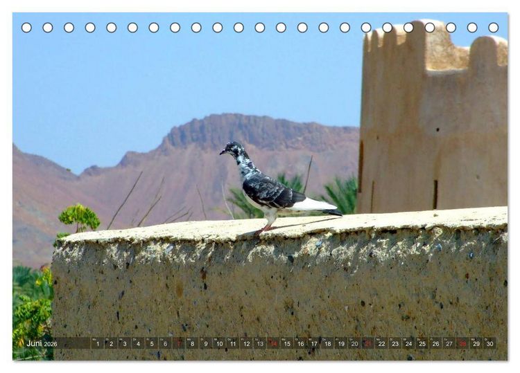 Produktbild: Oman - Eine Bilder-Reise (Tischkalender 2026 DIN A5 quer), CALVENDO Monatskalender