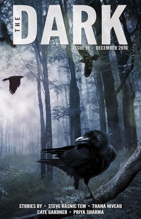 Produktbild: The Dark Issue 19