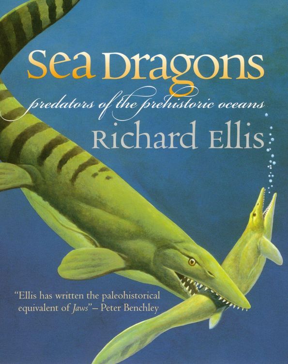 Produktbild: Sea Dragons