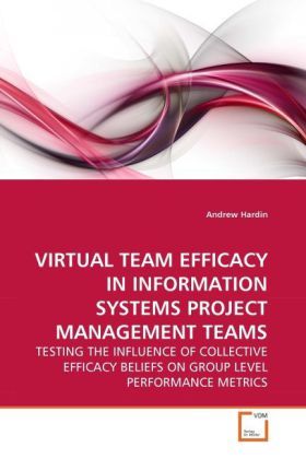 Produktbild: Hardin, A: VIRTUAL TEAM EFFICACY IN INFORMATION SYSTEMS PROJ