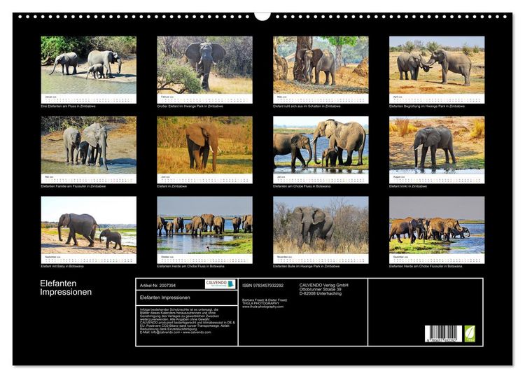 Produktbild: Elefanten Impressionen (Wandkalender 2026 DIN A2 quer), CALVENDO Monatskalender