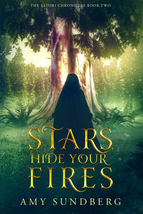 Produktbild: Stars, Hide Your Fires (The Satori Chronicles, #2)