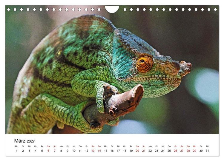 Produktbild: Blickpunkte auf Madagaskar (Wandkalender 2027 DIN A4 quer), CALVENDO Monatskalender