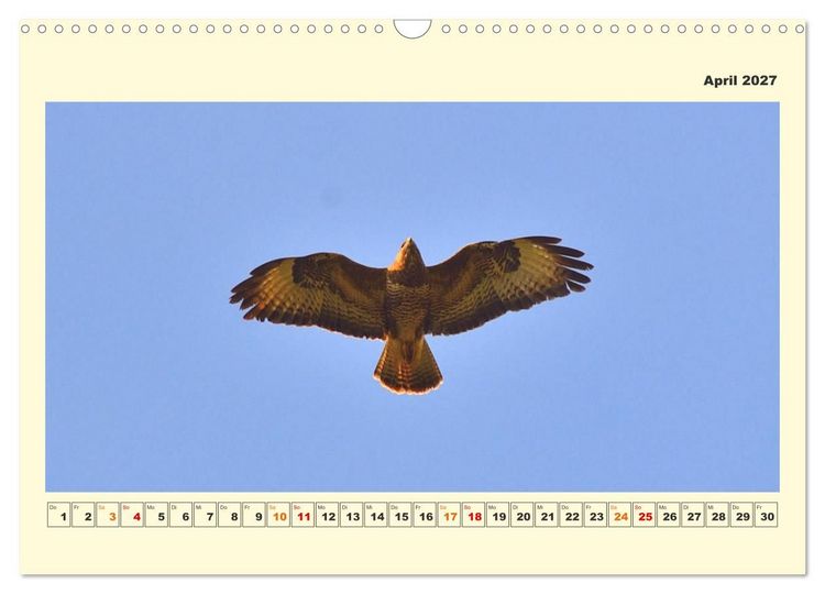 Produktbild: Tierwelt der W&uuml;mmeniederung (Wandkalender 2027 DIN A3 quer), CALVENDO Monatskalender