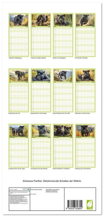 Produktbild: Familienplaner 2026 - Schwarze Panther. Geheimnisvolle Schatten der Wildnis mit 5 Spalten (Wandkalender, 21 x 45 cm) CALVENDO