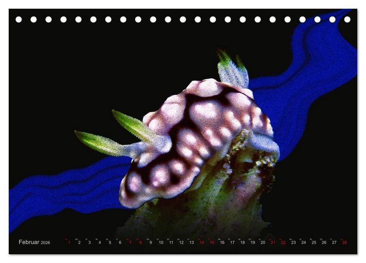 Produktbild: Artwork Unterwasser - Erlebnis Tauchen (Tischkalender 2026 DIN A5 quer), CALVENDO Monatskalender