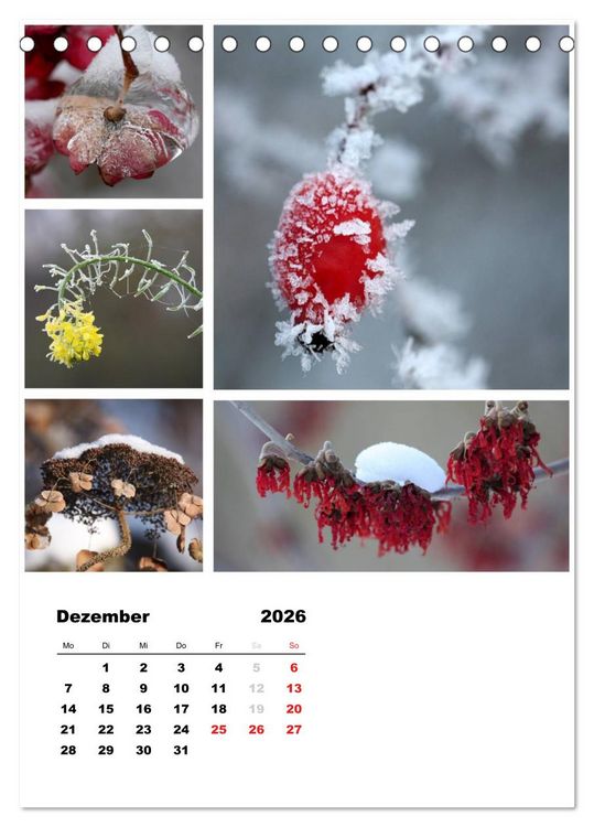 Produktbild: Bl&uuml;ten Collagen (Tischkalender 2026 DIN A5 hoch), CALVENDO Monatskalender