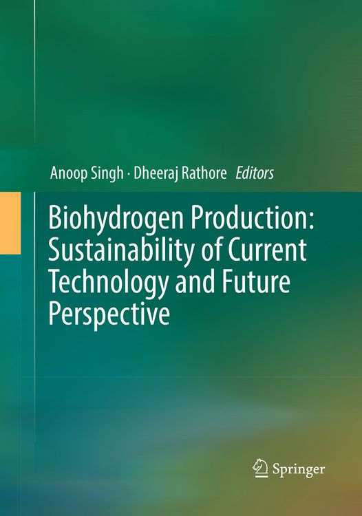 Produktbild: Biohydrogen Production: Sustainability of Current Technology and Future Perspective