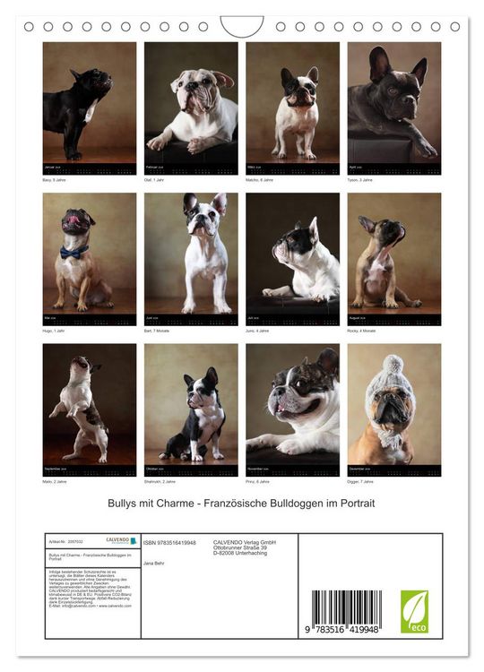 Produktbild: Bullys mit Charme - Franz&ouml;sische Bulldoggen im Portrait (Wandkalender 2026 DIN A4 hoch), CALVENDO Monatskalender