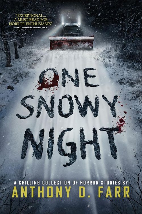 Produktbild: One Snowy Night