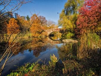 Produktbild: CALVENDO Puzzle Central Park | 1000 Teile Lege-Gr&ouml;&szlig;e 64 &times; 48 cm Foto-Puzzle f&uuml;r gl&uuml;ckliche Stunden