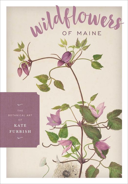 Produktbild: Wildflowers of Maine