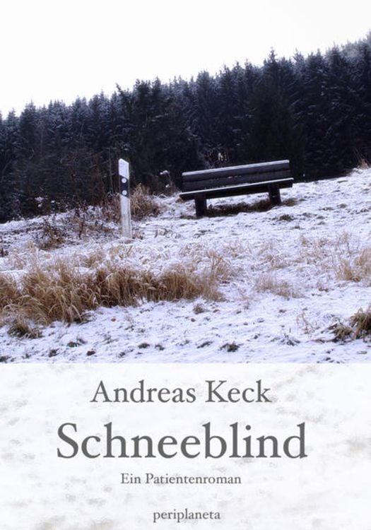 Bild vom Artikel Schneeblind vom Autor Andreas Keck