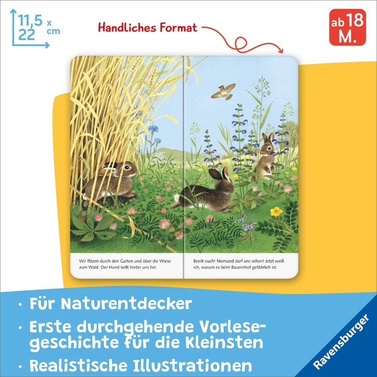 Produktbild: Ich bin das kleine Kaninchen