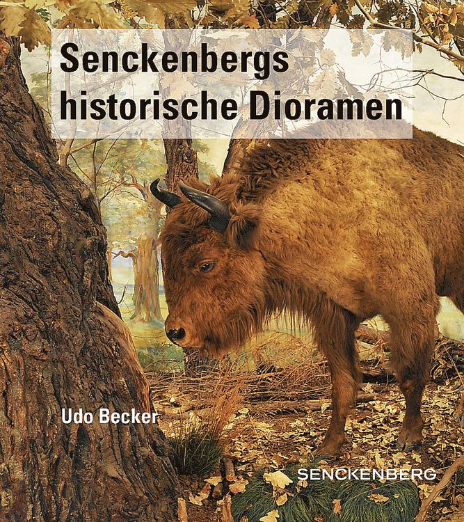 Produktbild: Senckenbergs historische Dioramen