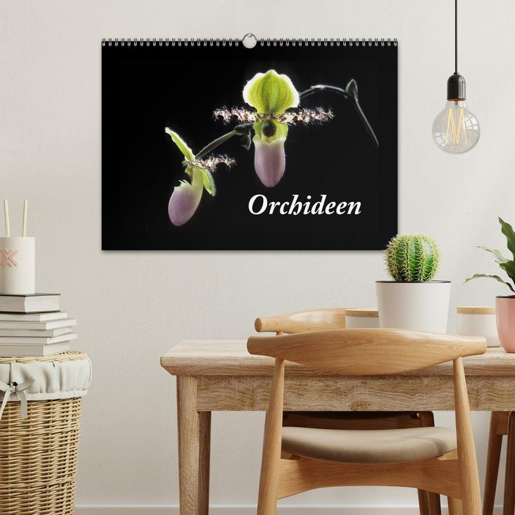 Produktbild: Orchideen 2026 (Wandkalender 2026 DIN A3 quer), CALVENDO Monatskalender