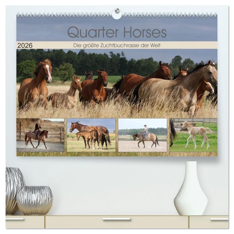 Produktbild: Quarter Horses - Die gr&ouml;&szlig;te Zuchtbuchrasse der Welt (hochwertiger Premium Wandkalender 2026 DIN A2 quer), Kunstdruck in Hochglanz