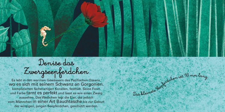 Produktbild: Das gro&szlig;e Buch der riesigen Tiere. Das kleine Buch der winzigen Tiere