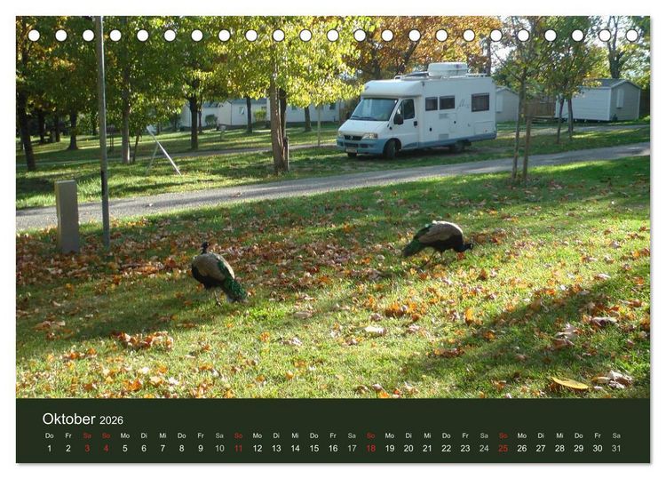 Produktbild: Wohnmobil-Reisen (Tischkalender 2026 DIN A5 quer), CALVENDO Monatskalender