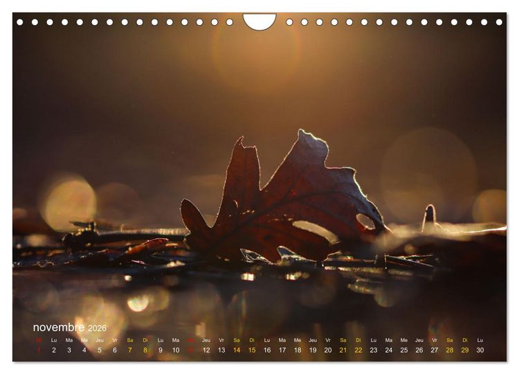 Produktbild: Au c&oelig;ur d&rsquo;une nature color&eacute;e (Calendrier mural 2026 DIN A4 vertical), CALVENDO calendrier mensuel