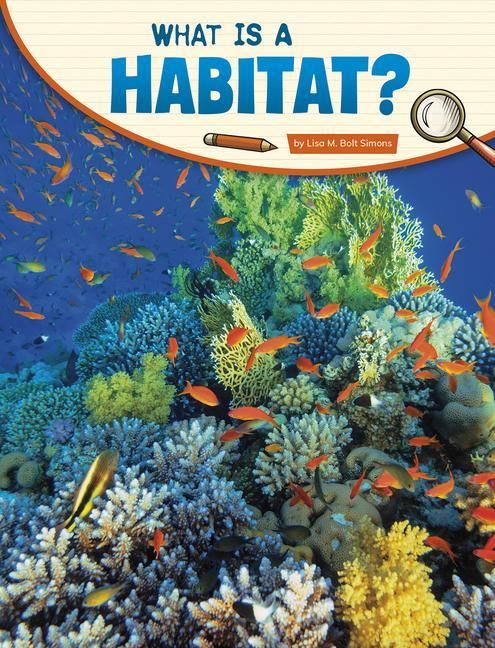 Produktbild: What Is a Habitat?