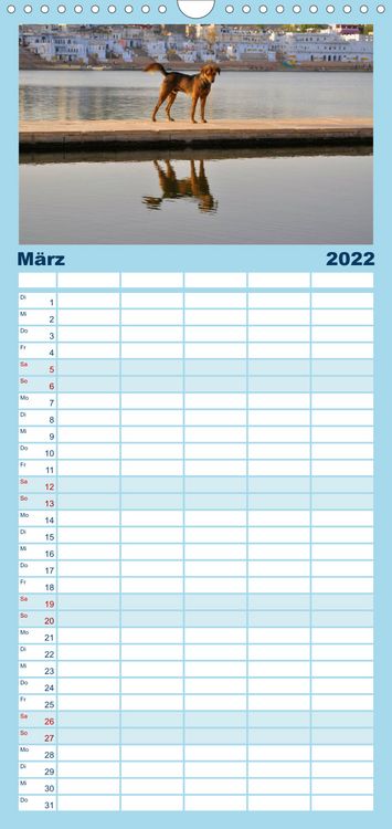 Produktbild: Familienplaner Hunde aus aller Welt (Wandkalender 2022 , 21 cm x 45 cm, hoch)