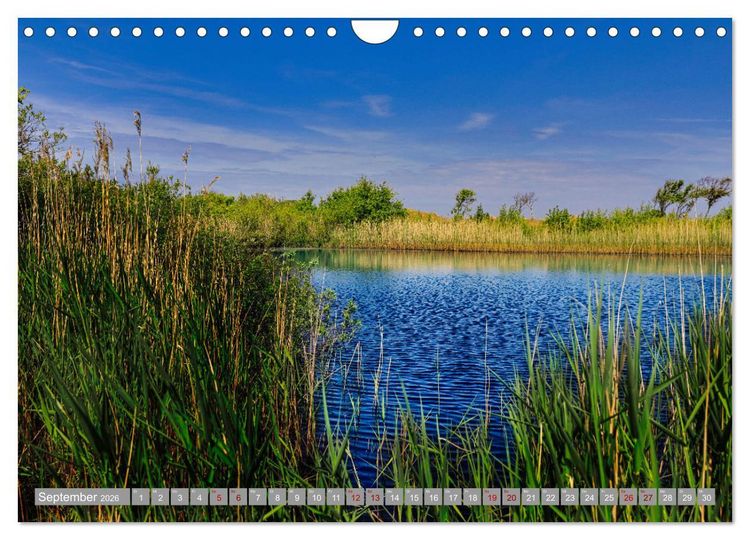 Produktbild: Vlieland Perle an der Nordsee (Wandkalender 2026 DIN A4 quer), CALVENDO Monatskalender