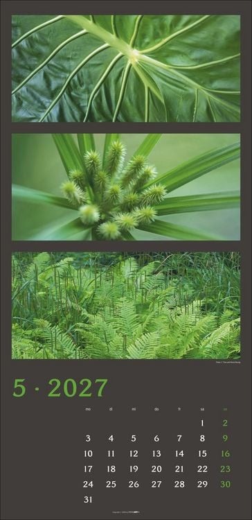 Produktbild: Die Farben der Natur Kalender 2027