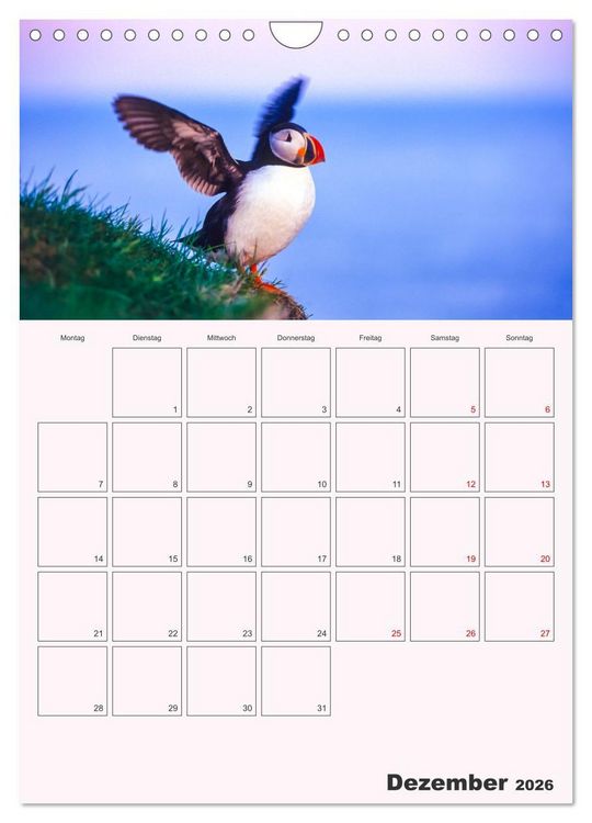 Produktbild: Papageitaucher Monatsplaner (Wandkalender 2026 DIN A4 hoch), CALVENDO Monatskalender