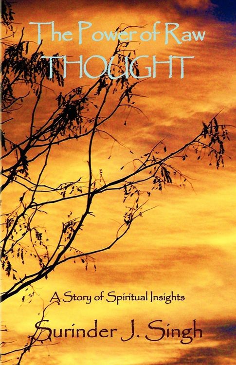 Produktbild: The Power of Raw Thought