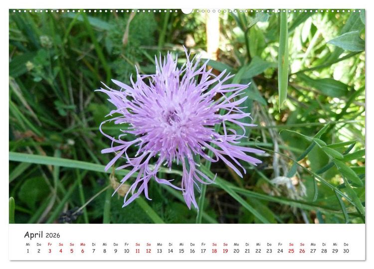 Produktbild: &Uuml;ber die Alpen - Auf dem E5 von Oberstdorf nach Meran (hochwertiger Premium Wandkalender 2026 DIN A2 quer), Kunstdruck in Hochglanz