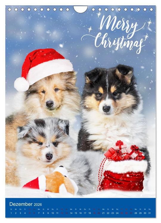 Produktbild: Traumhund Collie - Gl&uuml;ck auf vier Pfoten (Wandkalender 2026 DIN A4 hoch), CALVENDO Monatskalender
