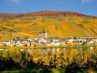 Produktbild: CALVENDO Puzzle Cell an der Mosel | 1000 Teile Lege-Gr&ouml;&szlig;e 64x48cm Foto-Puzzle f&uuml;r gl&uuml;ckliche Stunden