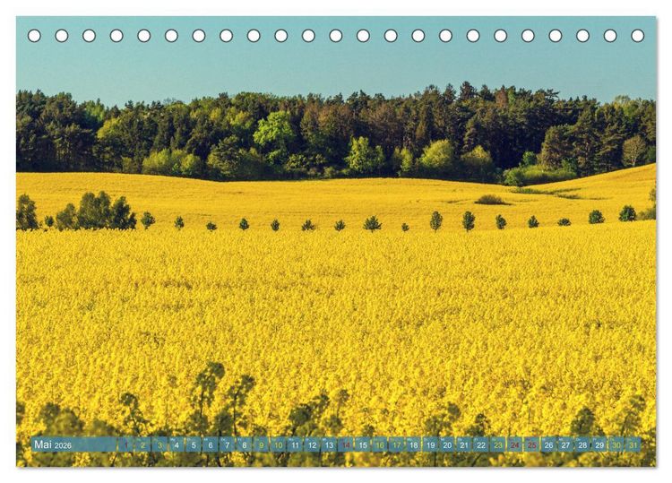 Produktbild: Buschvitz - Geografischer Mittelpunkt der Insel R&uuml;gen (Tischkalender 2026 DIN A5 quer), CALVENDO Monatskalender