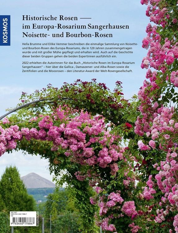 Produktbild: Historische Rosen im Europa Rosarium Sangerhausen: Noisette- und Bourbon-Rosen