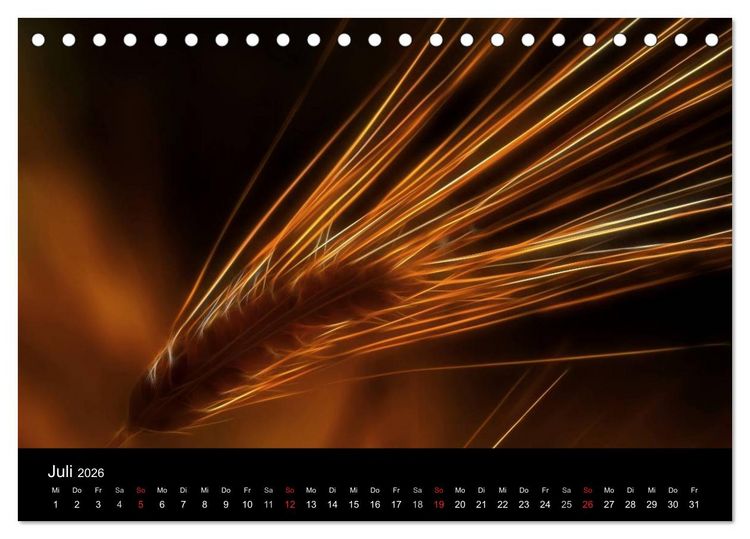 Produktbild: Floral Abstrakt 2026 (Tischkalender 2026 DIN A5 quer), CALVENDO Monatskalender