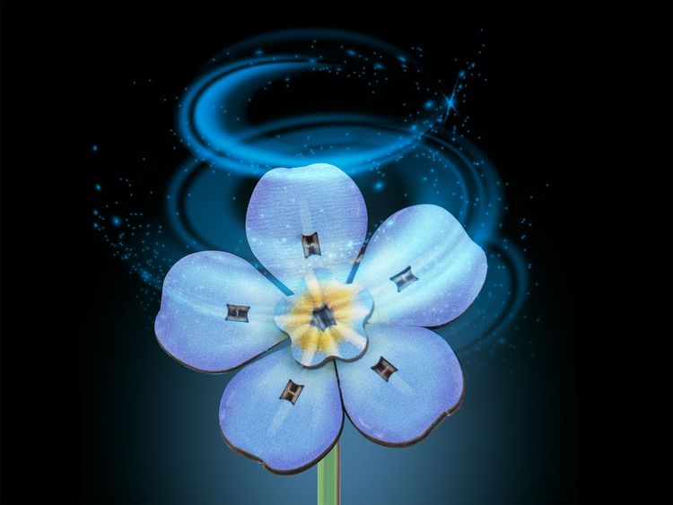 Produktbild: Revell Holzblumen Flowers Blossom Festival mit Vase & Duftring
